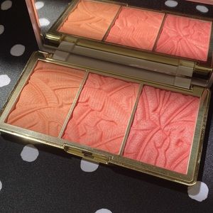 Tarte Blush in Bloom Palette